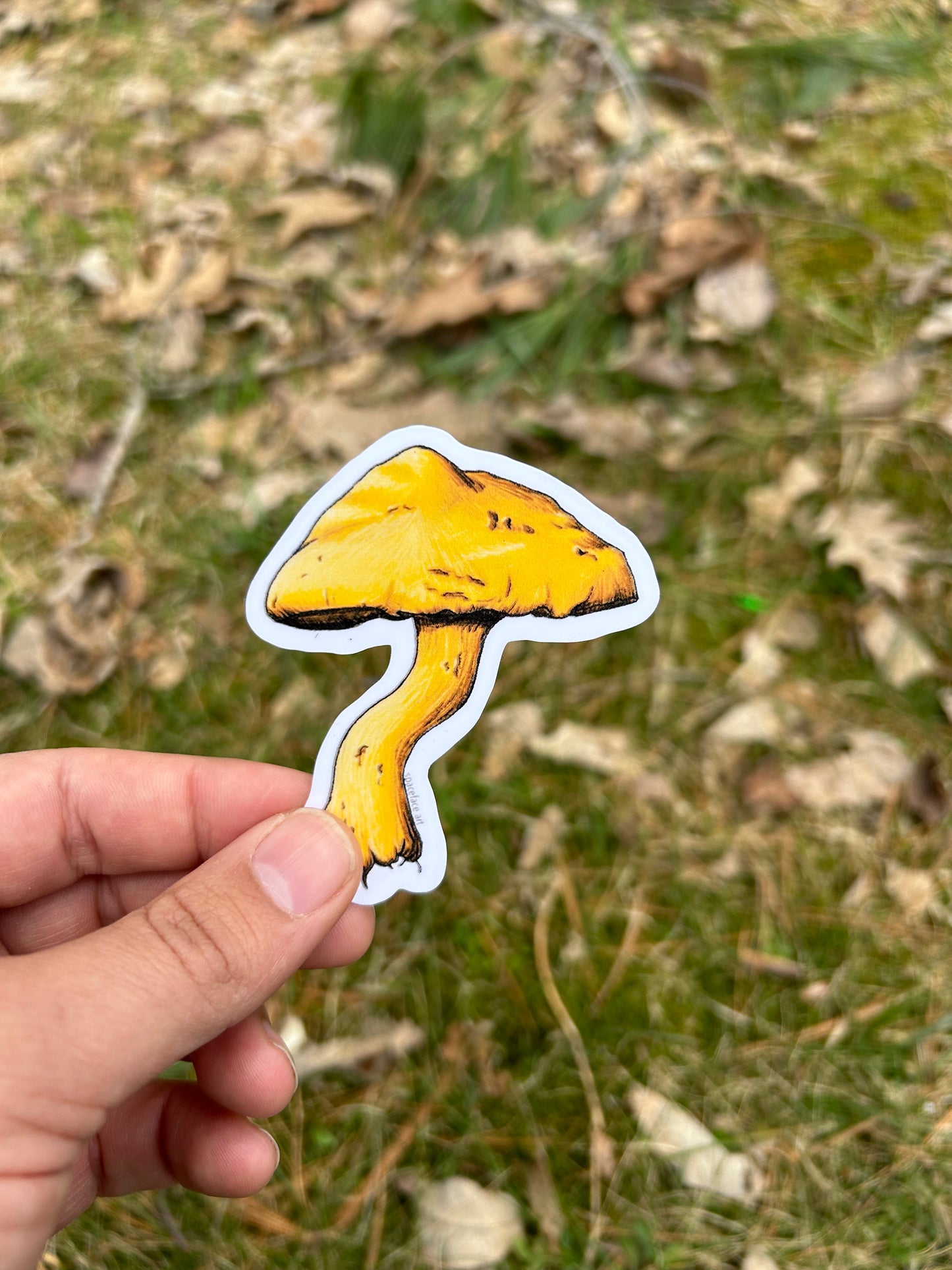Shrooms // Sticker Pack