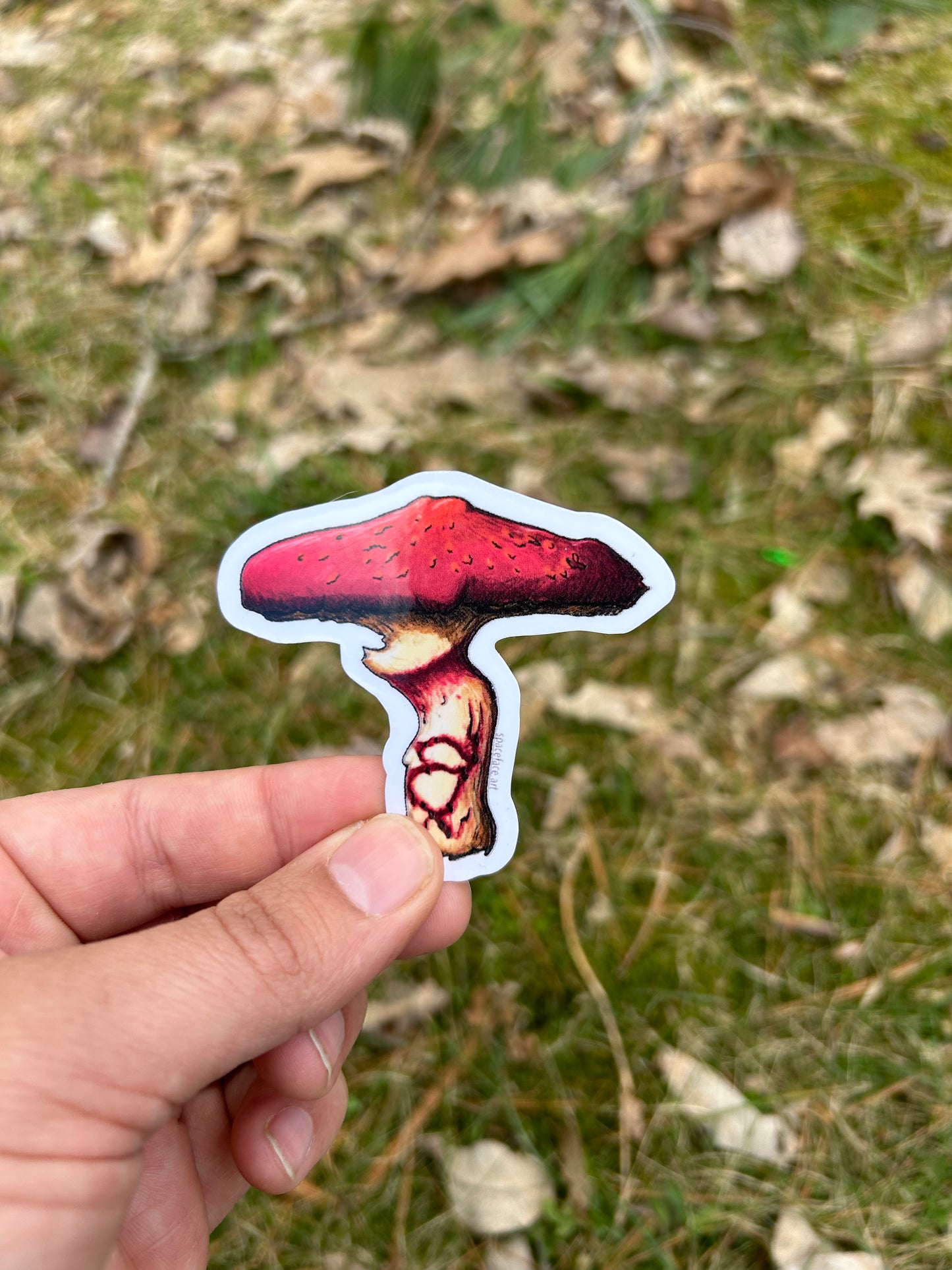 Shrooms // Sticker Pack