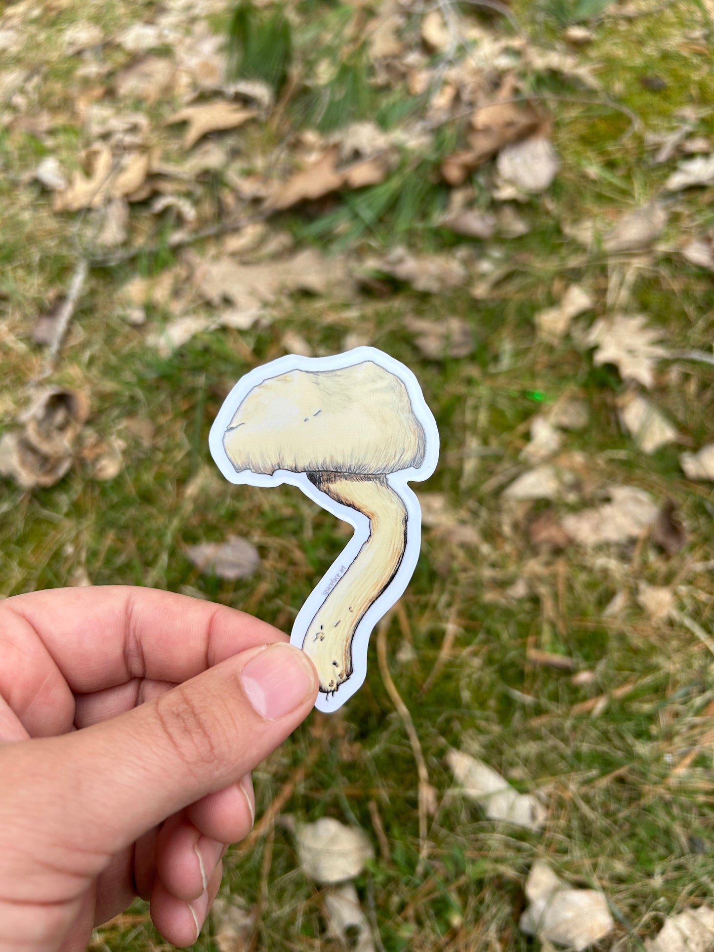 Shrooms // Sticker Pack