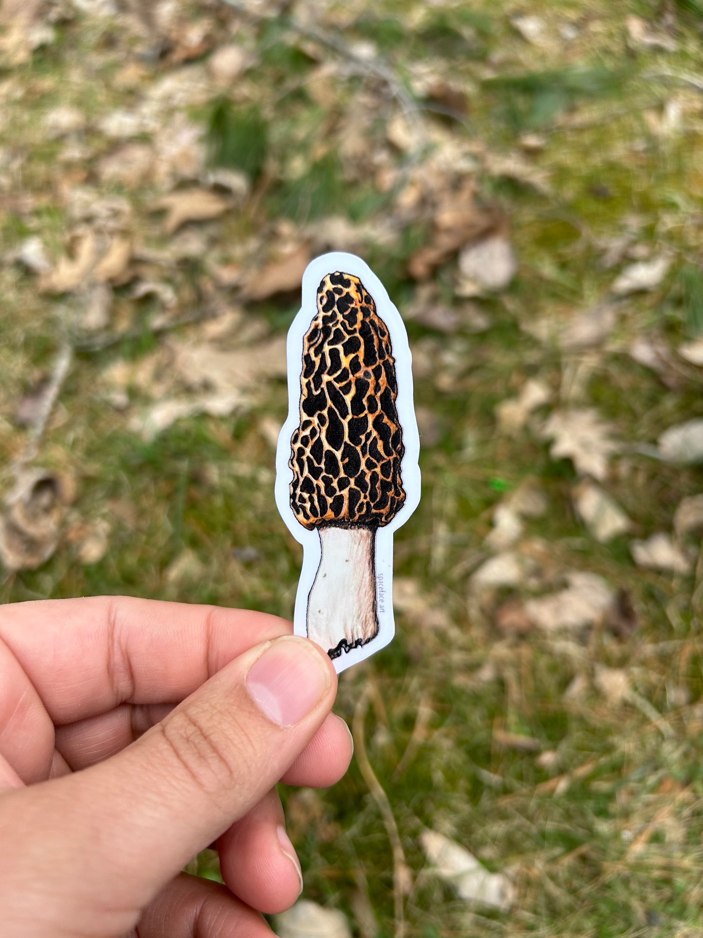 Shrooms // Sticker Pack