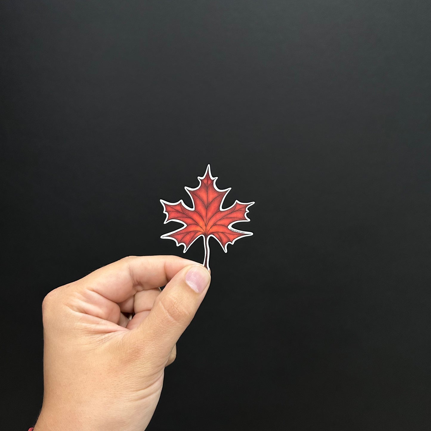 Maple Leaf // Sticker