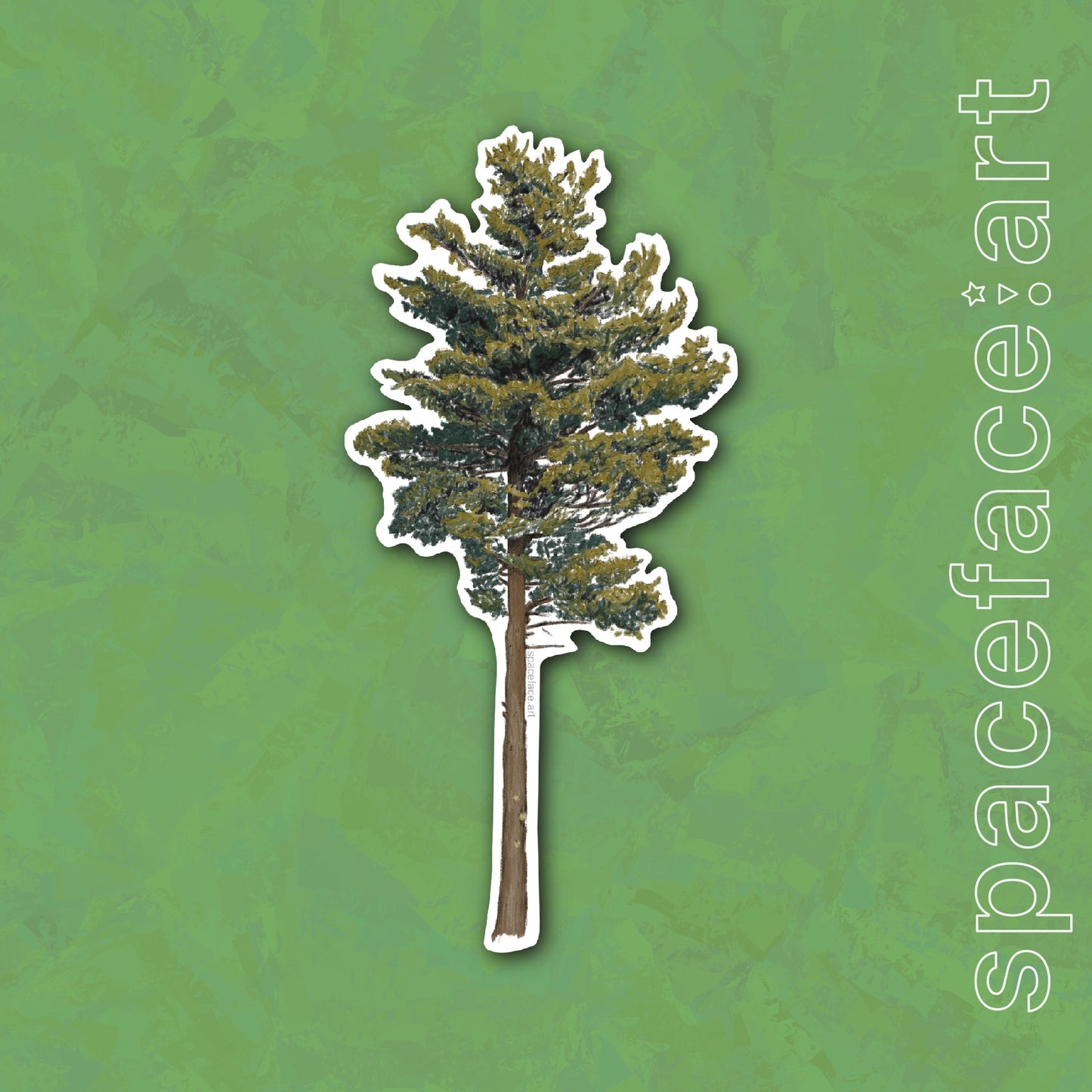 White Pine // Sticker