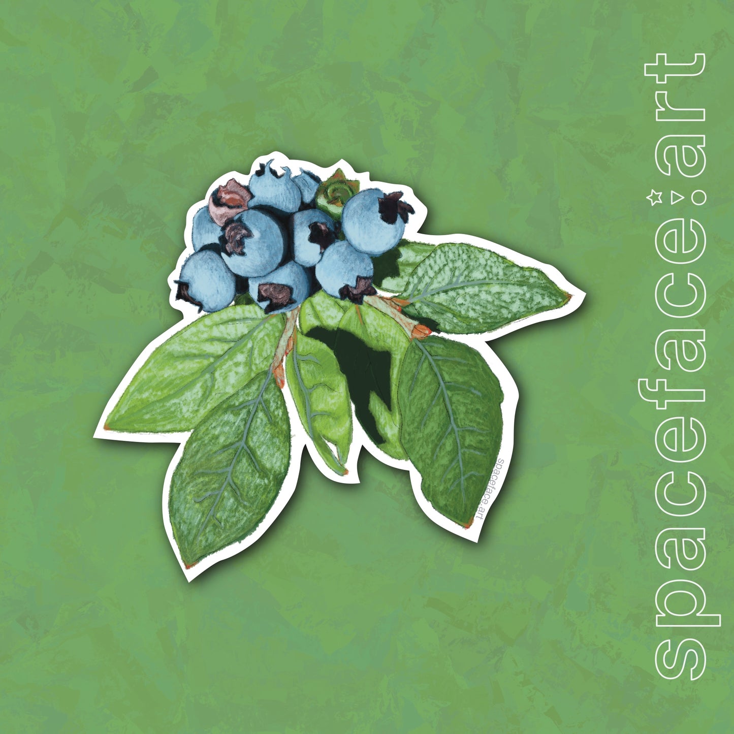 Blueberries! // Sticker Pack