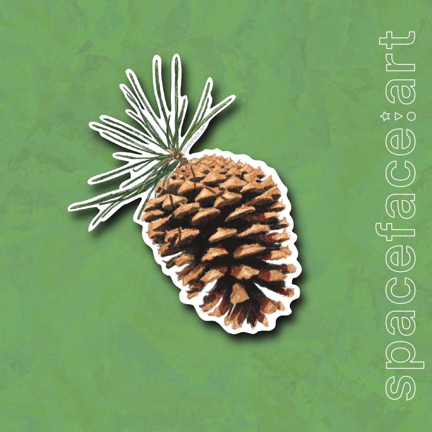 Pine Cone // Sticker