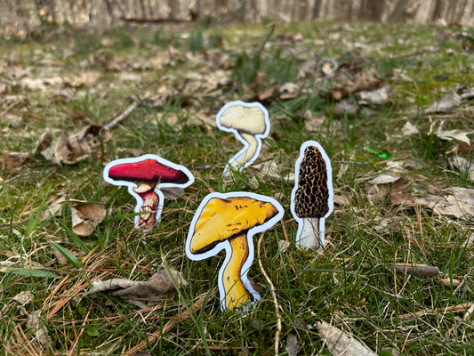 Shrooms // Sticker Pack