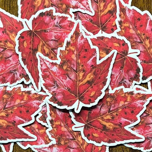 Maple Leaf // Sticker