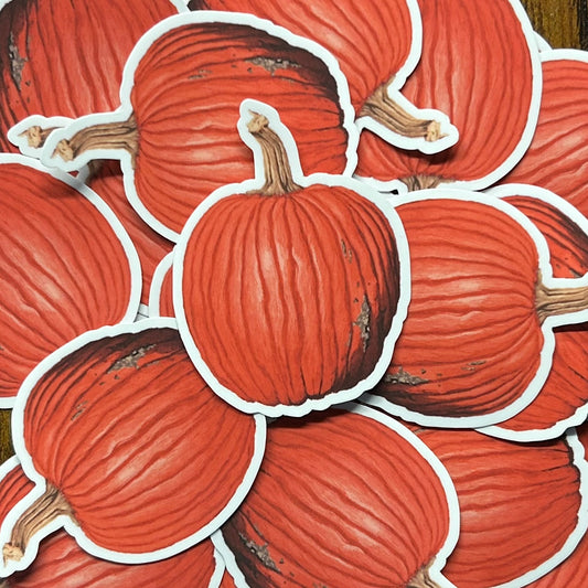 Pumpkin // Sticker