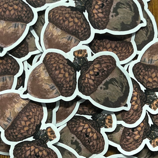 Acorns // Sticker