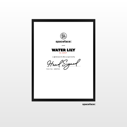 Water Lily // Print