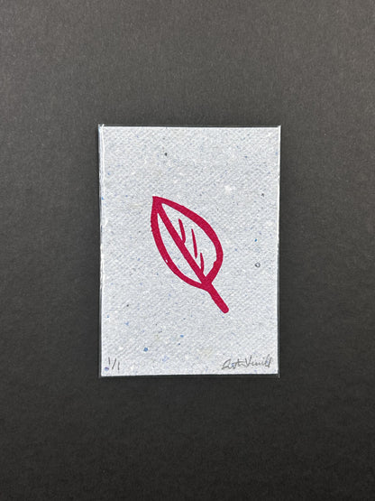 Red Leaf // Serigraph